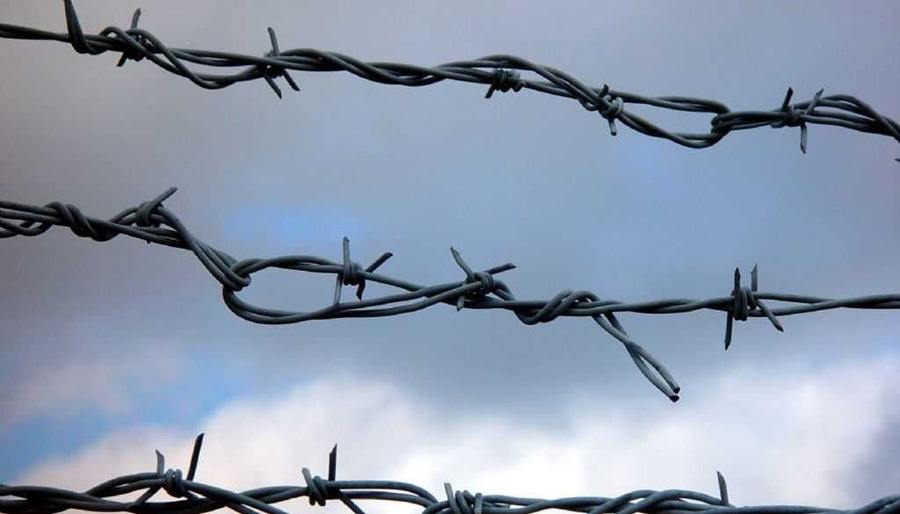 Barbed Wire