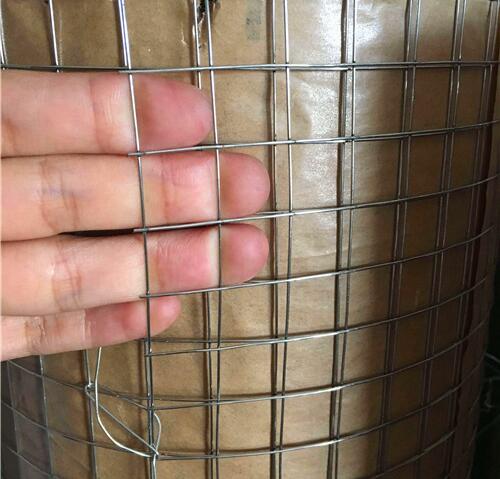 Welded Wire Mesh 