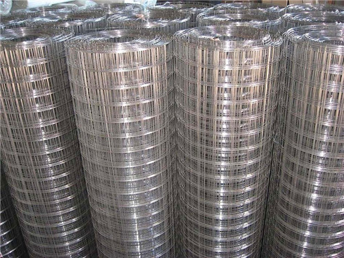 Galvanized Welded Wire Mesh