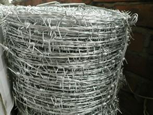 Sharp Barbed Wire
