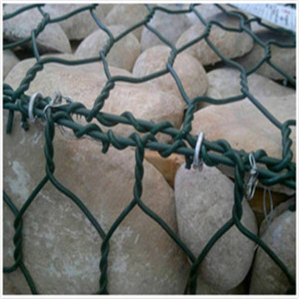 gabion mesh