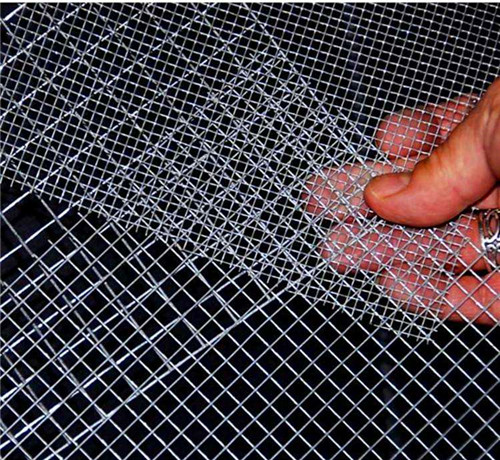 Galvanized Welded Wire Mesh