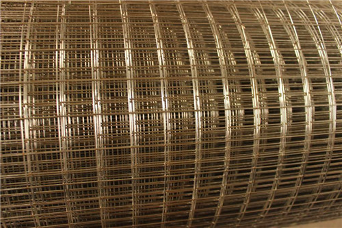 Galvanized Welded Wire Mesh