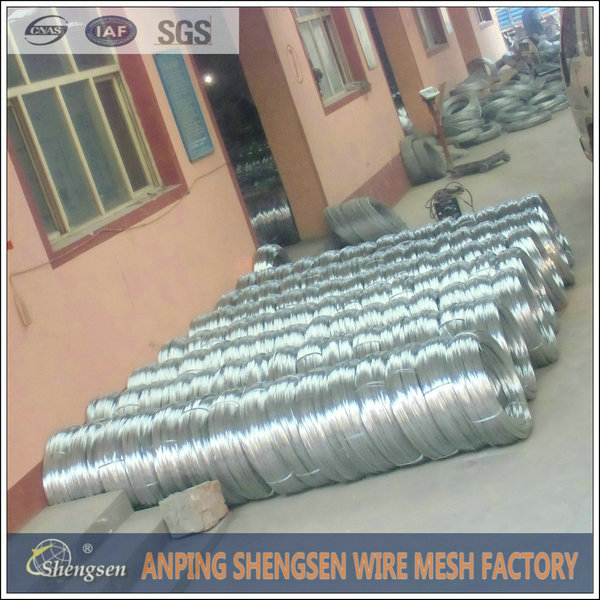 China Free Sample Galvanized Wire