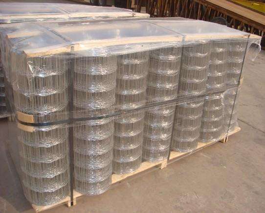Welded Wire Mesh