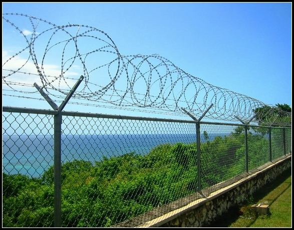 Razor Wire