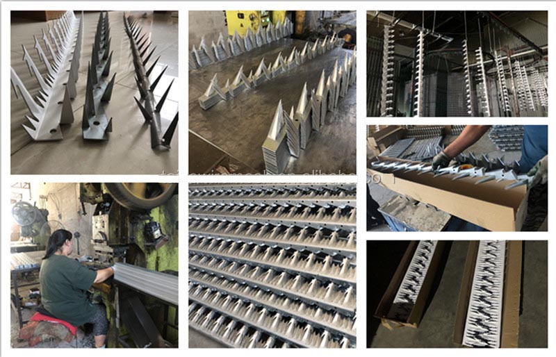 Heb69f183a0a046e6863cdd69a772d090A